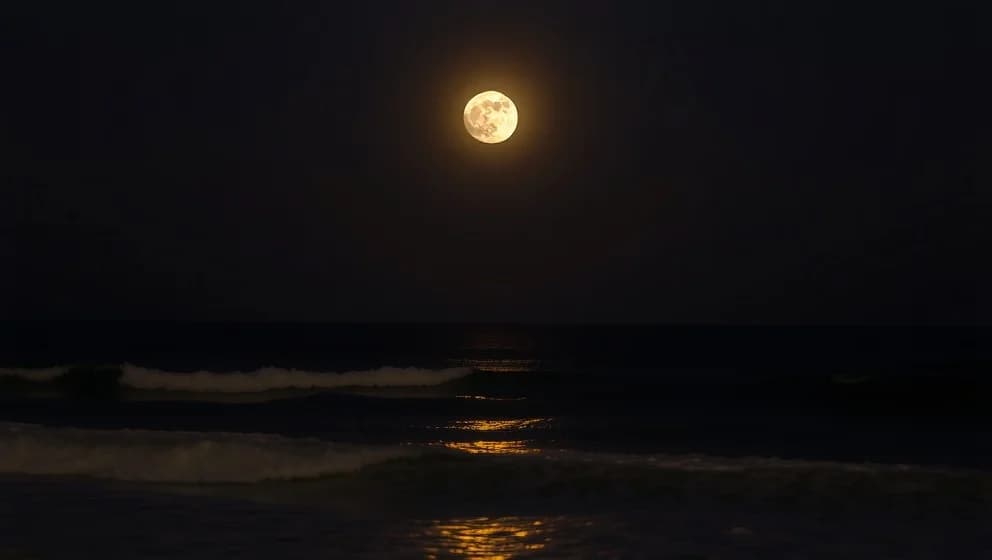 Hur påverkar månen jorden