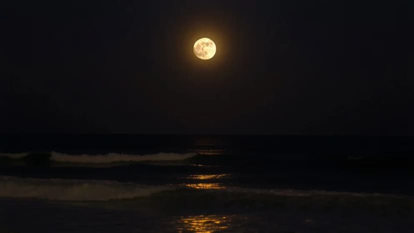 Hur påverkar månen jorden